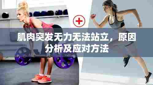 肌肉突发无力无法站立,原因分析及应对方法