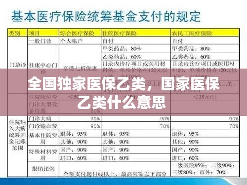 全国独家医保乙类，国家医保乙类什么意思 