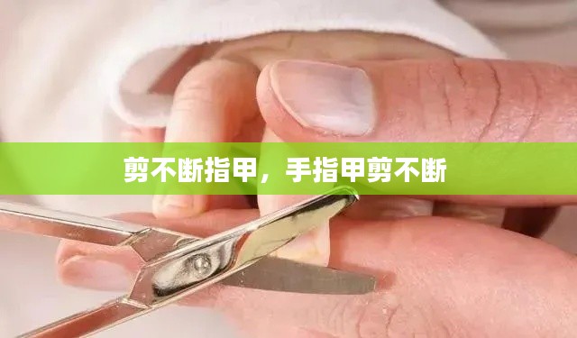 剪不断指甲,手指甲剪不断