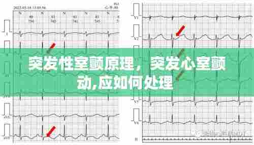 张灯结彩 第6页