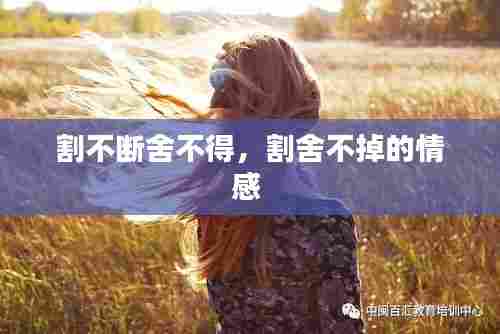 割不断舍不得,割舍不掉的情感