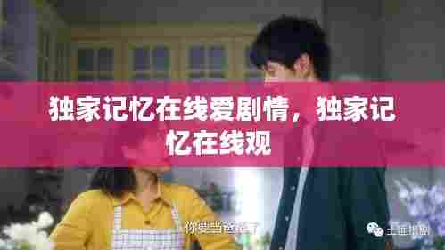 独家记忆在线爱剧情，独家记忆在线观 