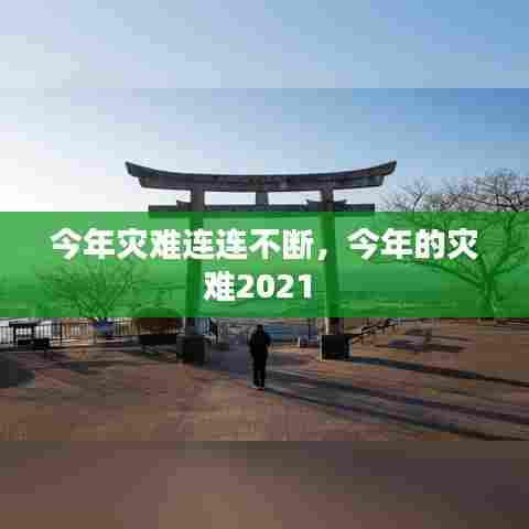 今年灾难连连不断，今年的灾难2021 