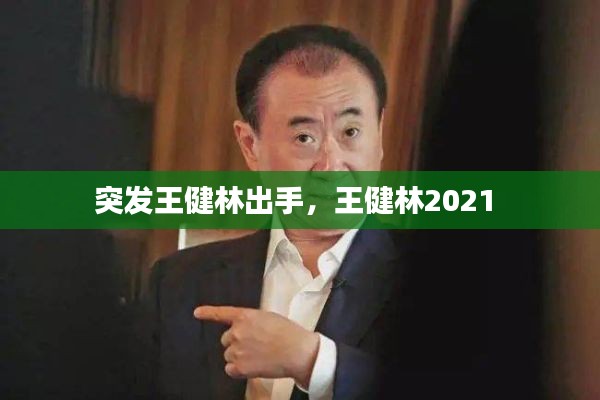 突发王健林出手,王健林2021