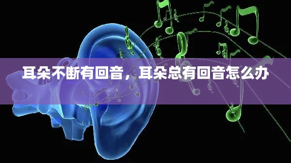 耳朵不断有回音,耳朵总有回音怎么办