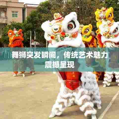 舞狮突发瞬间,传统艺术魅力震撼呈现