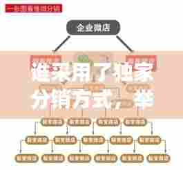 谁采用了独家分销方式,举例说明采用独家分销的产品