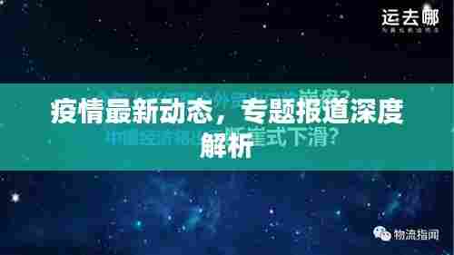 疫情最新动态,专题报道深度解析