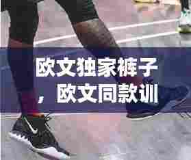 欧文独家裤子，欧文同款训练裤 