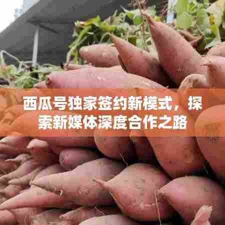 西瓜号独家签约新模式,探索新媒体深度合作之路