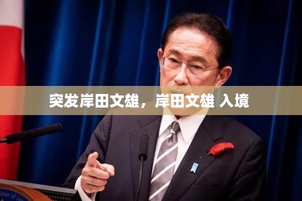 突发岸田文雄,岸田文雄 入境