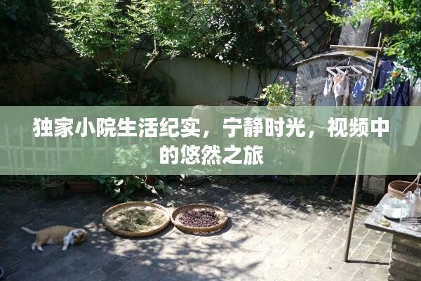 独家小院生活纪实,宁静时光,视频中的悠然之旅