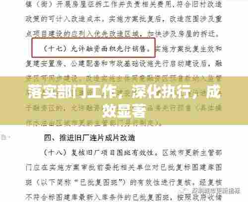 落实部门工作,深化执行,成效显著