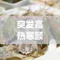 突发高热寒颤处理，突然寒颤发高烧 