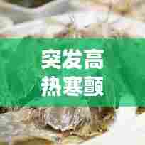 突发高热寒颤处理,突然寒颤发高烧