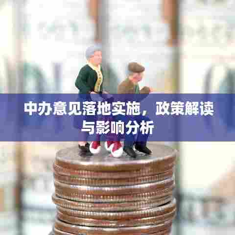 中办意见落地实施,政策解读与影响分析