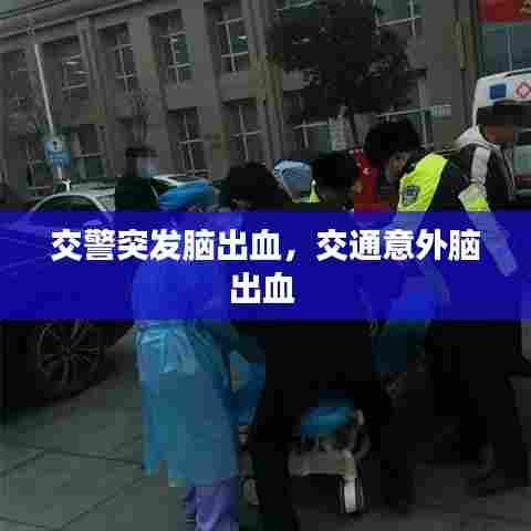 坚持不懈 第7页