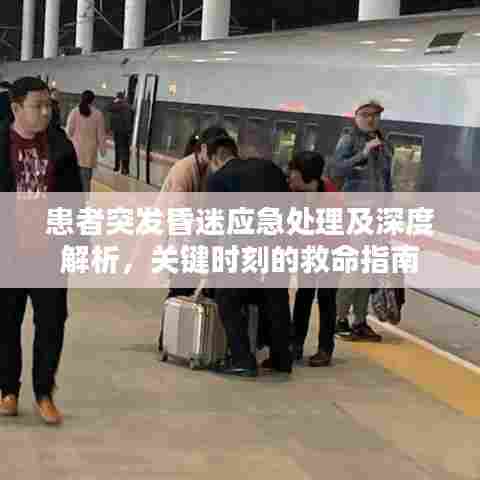 患者突发昏迷应急处理及深度解析,关键时刻的救命指南