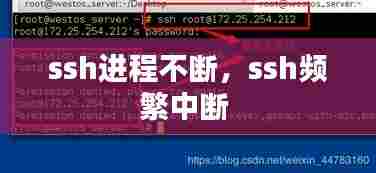 ssh进程不断,ssh频繁中断