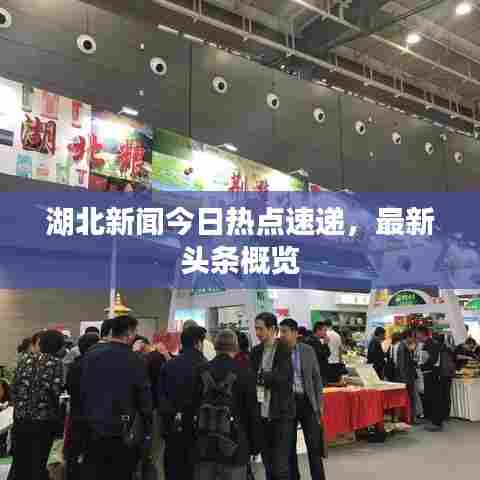 湖北新闻今日热点速递，最新头条概览
