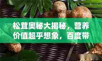 松茸奥秘大揭秘,营养价值超乎想象,百度带你深入了解!
