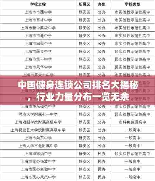中国健身连锁公司排名大揭秘，行业力量分布一览无余