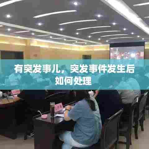 有突发事儿,突发事件发生后如何处理