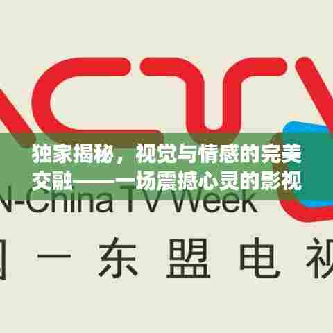 独家揭秘,视觉与情感的完美交融——一场震撼心灵的影视盛宴