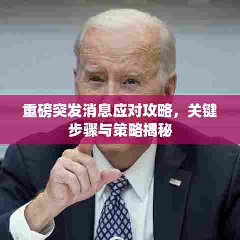 重磅突发消息应对攻略,关键步骤与策略揭秘
