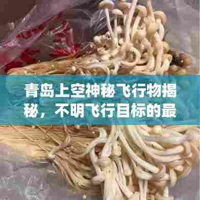 青岛上空神秘飞行物揭秘，不明飞行目标的最新探索与消息速递