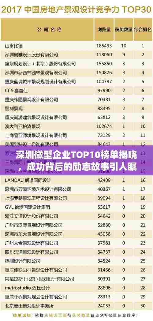 深圳微型企业TOP10榜单揭晓,成功背后的励志故事引人瞩目