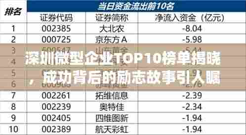 深圳微型企业TOP10榜单揭晓,成功背后的励志故事引人瞩目
