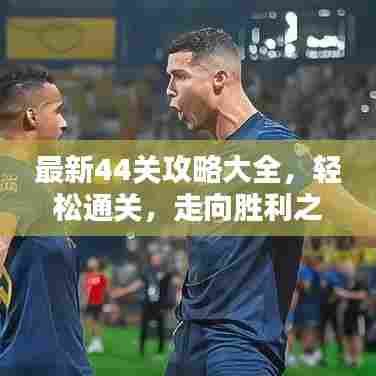 最新44关攻略大全,轻松通关,走向胜利之路!