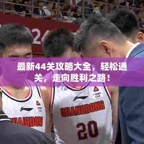 最新44关攻略大全,轻松通关,走向胜利之路!