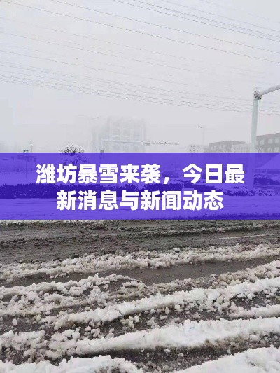 潍坊暴雪来袭，今日最新消息与新闻动态