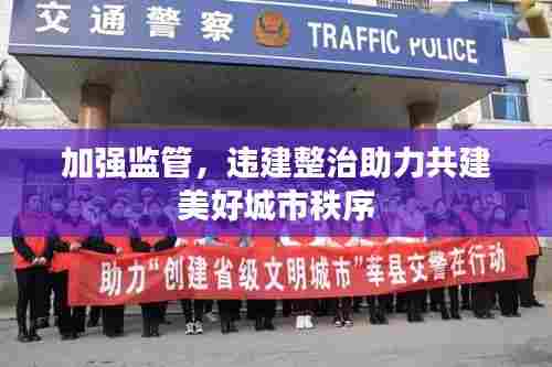 加强监管,违建整治助力共建美好城市秩序