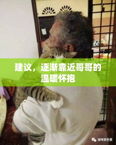 建议,逐渐靠近哥哥的温暖怀抱