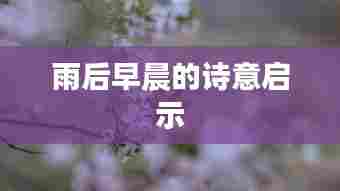 雨后早晨的诗意启示
