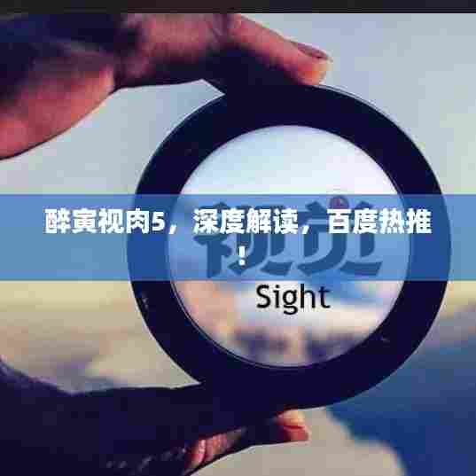 醉寅视肉5,深度解读,百度热推!