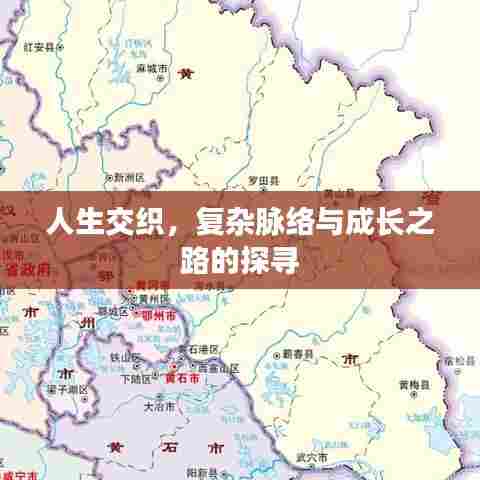 人生交织,复杂脉络与成长之路的探寻