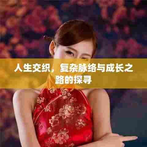 人生交织,复杂脉络与成长之路的探寻