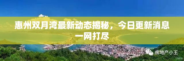 惠州双月湾最新动态揭秘,今日更新消息一网打尽