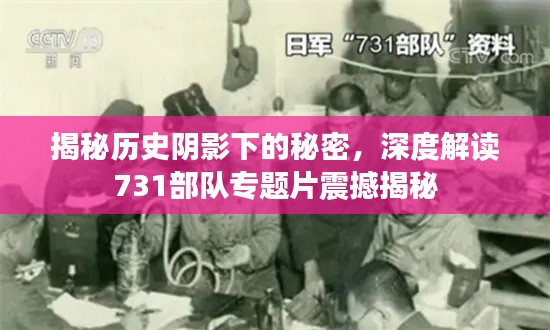 揭秘历史阴影下的秘密,深度解读731部队专题片震撼揭秘