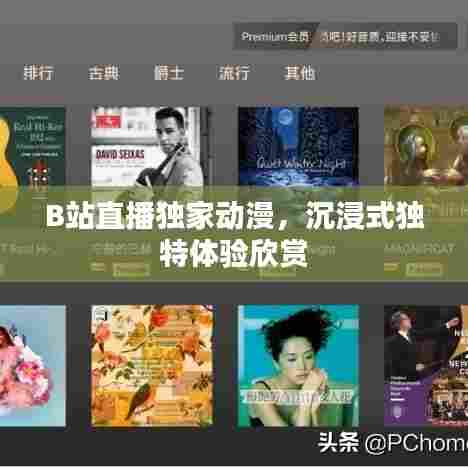 B站直播独家动漫,沉浸式独特体验欣赏