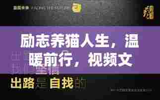励志养猫人生,温暖前行,视频文案语录分享