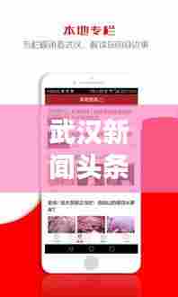 武汉新闻头条深度解读,聚焦热点,透视时事
