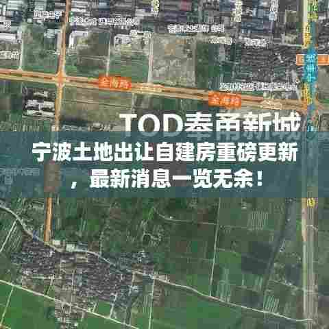 宁波土地出让自建房重磅更新,最新消息一览无余!