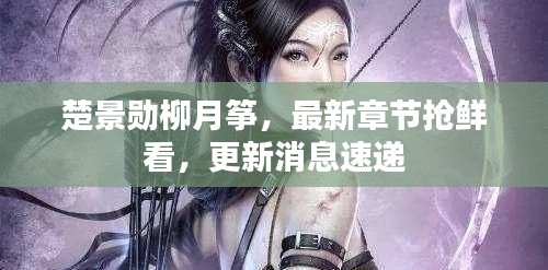 楚景勋柳月筝,最新章节抢鲜看,更新消息速递