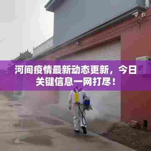 河间疫情最新动态更新，今日关键信息一网打尽！