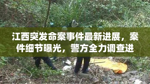 江西突发命案事件最新进展,案件细节曝光,警方全力调查进展迅速